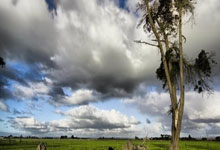 开云体育app-马来西亚羽毛球队大逆转中国羽毛球队意外失利斯里坎特成胜负关键