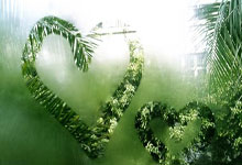 开云体育-日本网球队爆冷欧洲网球队，纳达尔惊艳世界