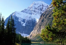 开云体育平台APP-TES绝杀DFM，Tarzan团战一打五淘汰赛3:0