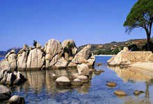 开云官方app入口-立陶宛男篮逆转尼克斯，东契奇高光表现震撼全场